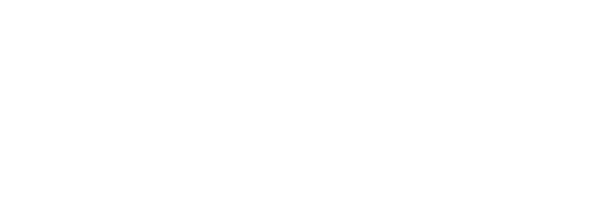 Optimus — dados que transformam